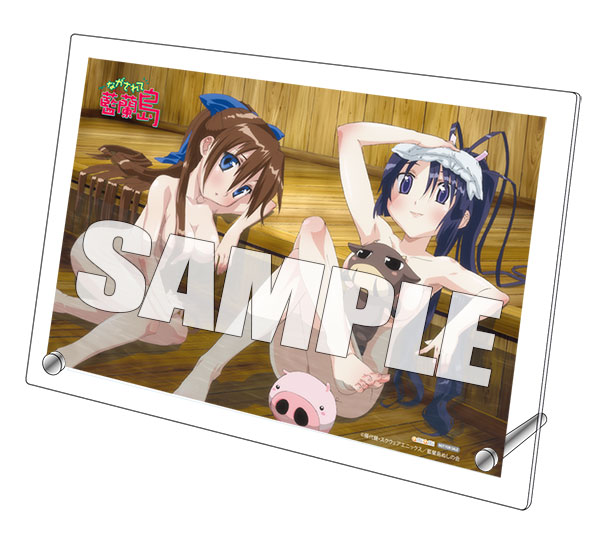 AmiAmi [Character & Hobby Shop]  [AmiAmi Exclusive Bonus] BD