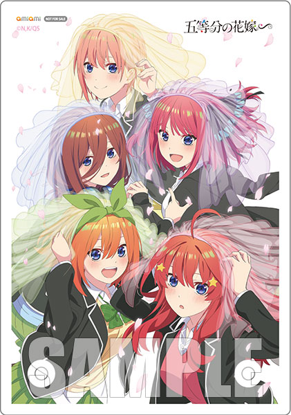 AmiAmi [Character & Hobby Shop]  [AmiAmi Exclusive Bonus] DVD