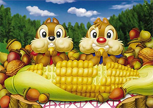 ﾃﾝﾖｰD108-702 ﾊｯﾋﾟｰﾗﾝﾁ