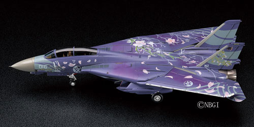 AmiAmi [Character & Hobby Shop] | Ace Combat Series 1/72 F-14D 