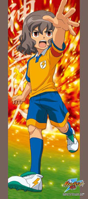 Inazuma Eleven Go Character Netsuke, Classifications