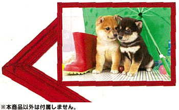 ｴﾎﾟｯｸｸﾘｽﾀﾙﾊﾟﾈﾙ1-ﾎﾞﾚｯﾄﾞ