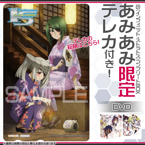 IS INFINITE STRATOS Ltd Novel IZURU YUMIZURU Japan Book Booklet