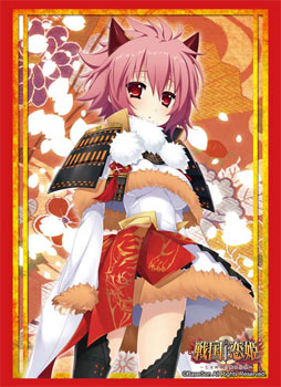 AmiAmi [Character & Hobby Shop]  Bushiroad Sleeve Collection HG