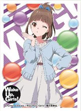 AmiAmi [Character & Hobby Shop] | Chara Sleeve Collection Matte