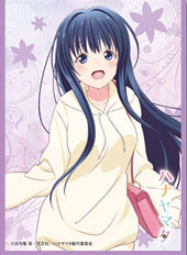 AmiAmi [Character & Hobby Shop] | Chara Sleeve Collection Matte