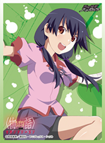 Chara Sleeve Collection Matte Series No.MT1045: Toaru Kagaku no