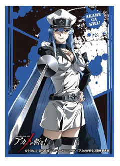 AmiAmi [Character & Hobby Shop]  Akame ga KILL! - Esdeath 1/9