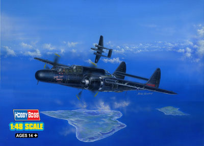 AmiAmi [Character & Hobby Shop] | 1/48 Aircraft Series - P-61B