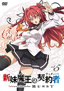 Anime Like The Testament of Sister New Devil BURST