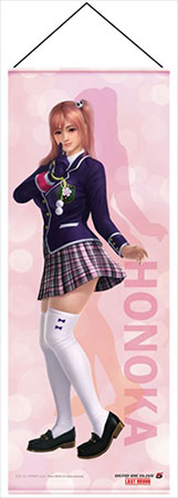 AmiAmi [Character & Hobby Shop] | DEAD OR ALIVE 5 Last Round