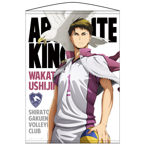 Haikyuu!! Second Season (Haikyu!! 2nd Season) - Clubs 