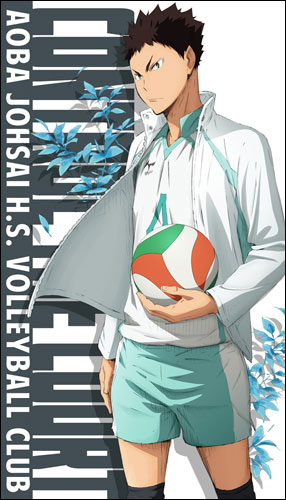 Pin by moon <3 on hai-q in 2023  Iwaizumi, Haikyuu, You're the best