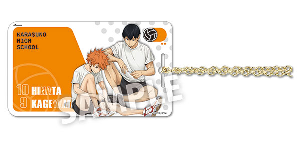 Anime Haikyuu!! Hinata Shoyo Figures Character Card IC Card