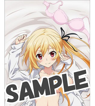 Amiami Character Hobby Shop Saijaku Muhai No Bahamut Hugging Pillow Cover A Lisesharte Released