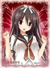 AmiAmi [Character & Hobby Shop] | Nexnet Girls Sleeve Collection