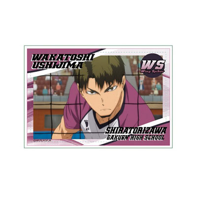 Anime Haikyu Haikyuu!! Season 3 Shiratorizawa Gakuen Wakatoshi