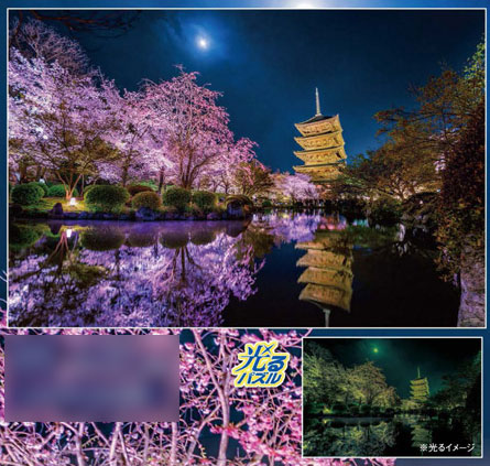 ﾔﾉﾏﾝ10-1299月夜に咲く