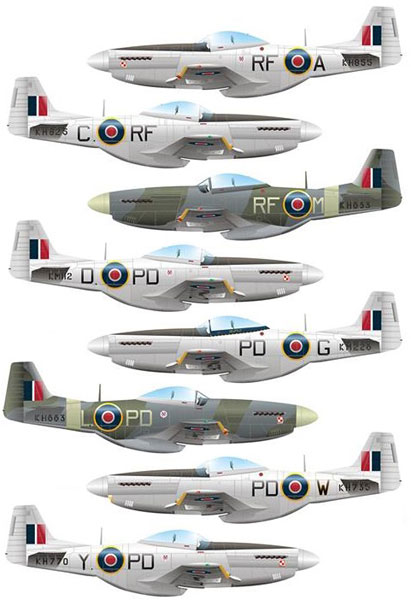 Model Maker 1/72 P-51D "303rd Kosciuszko Fighter Squadron" 画像 1