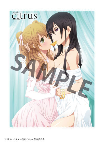 AmiAmi [Character & Hobby Shop] | citrus - B2 Wall Scroll(Released)