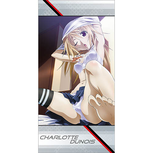 IS Infinite Stratos 2 Laura Houki Cecilia B2 Tapestry Wall Scroll animate