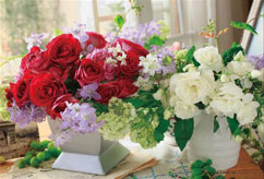 ﾔﾉﾏﾝ01-2072ﾊｯﾋﾟｰﾌﾗﾜｰｽﾞ