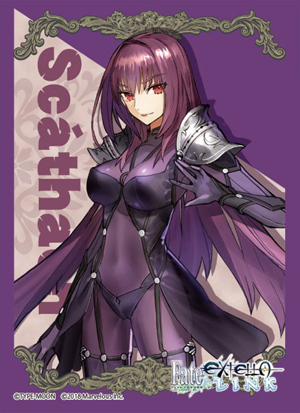 AmiAmi [Character & Hobby Shop] | Broccoli Character Sleeve Fate