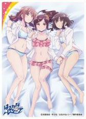 Character Sleeve Harukana Receive Naruaya Pair EN-685