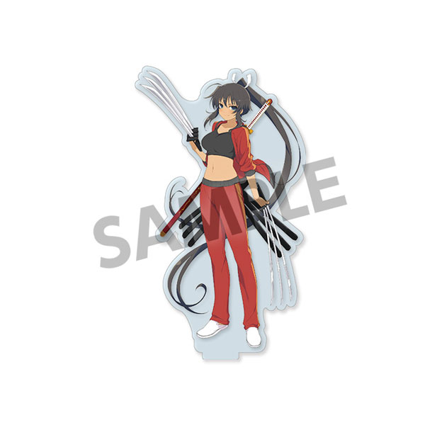 Shinobi Master Senran Kagura: New Link Acrylic Figure Collection