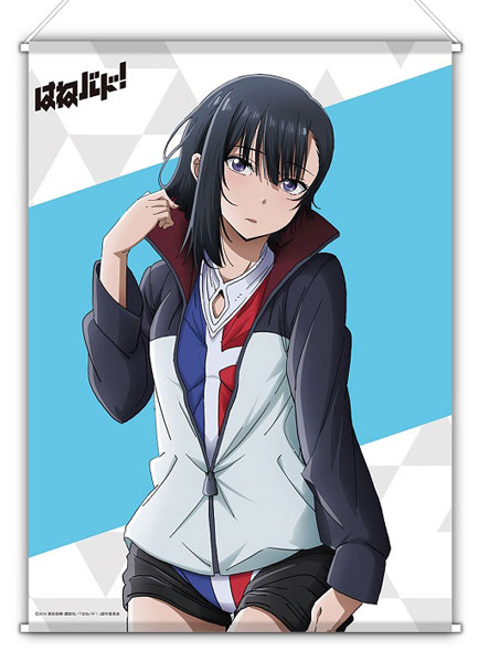 AmiAmi [Character & Hobby Shop]