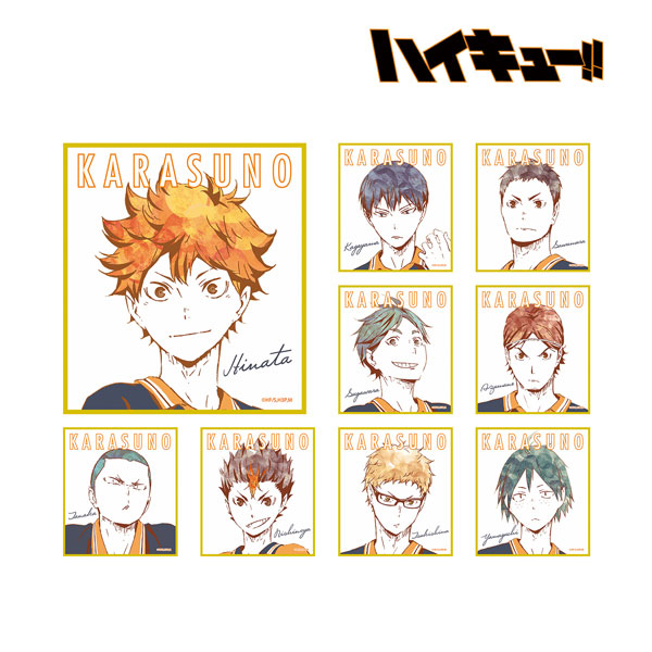 AmiAmi [Character & Hobby Shop]  DVD Haikyuu!! Karasuno Koukou VS  Shiratorizawa Gakuen Koukou Vol.1 First Press Limited Edition(Released)