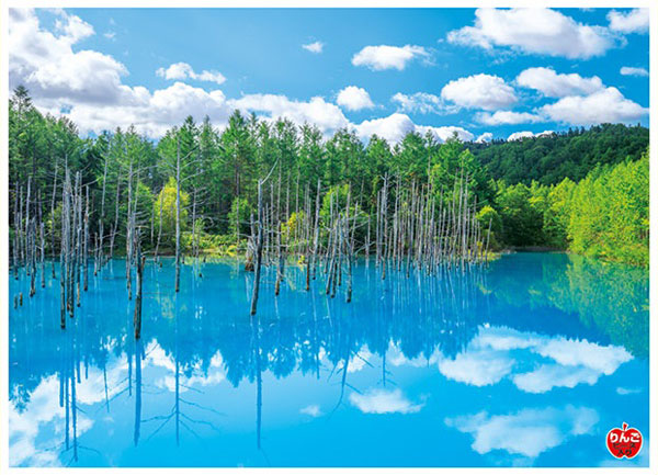 Aﾜﾝ500-263美瑛白金の青い池