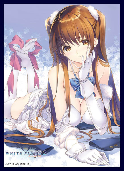 AmiAmi [Character & Hobby Shop] | THE KLOCKWORX Sleeve