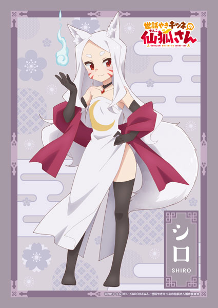 AmiAmi [Character & Hobby Shop] | TV Anime 