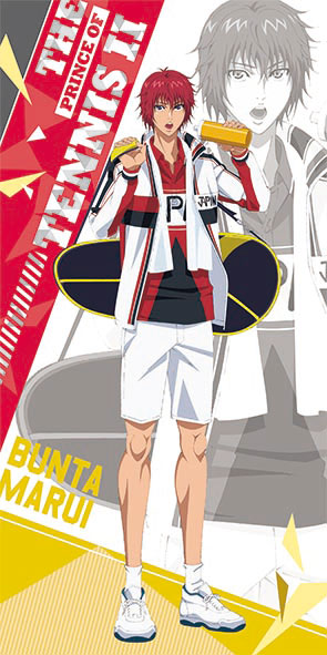 AmiAmi [Character & Hobby Shop] | The New Prince of Tennis Visual