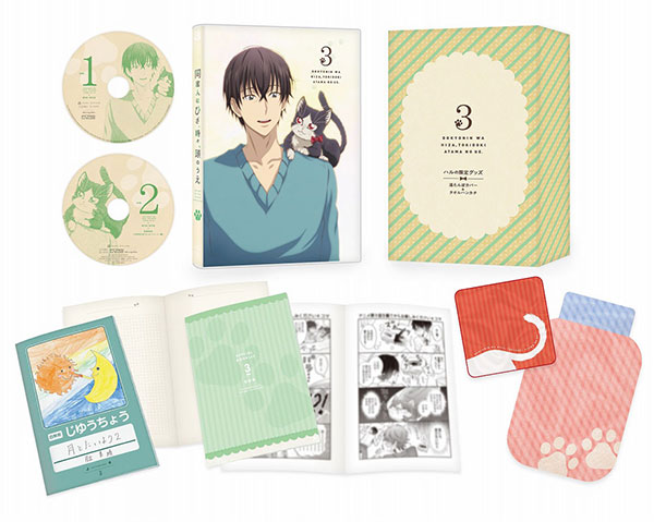AmiAmi [Character & Hobby Shop] | DVD Doukyonin wa Hiza, Tokidoki 