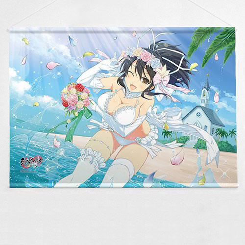 AmiAmi [Character & Hobby Shop]  Shinobi Master Senran Kagura