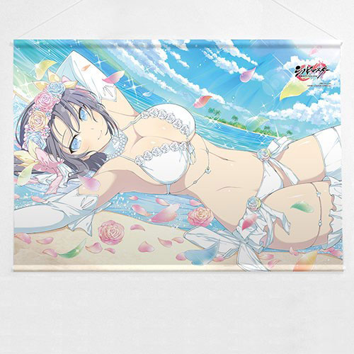 AmiAmi [Character & Hobby Shop]  Senran Kagura SHINOVI MASTER