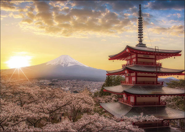 ﾔﾉﾏﾝ05-1023春暁の富士山と桜