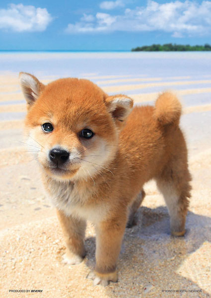 ﾋﾞﾊﾞﾘｰP108-840ぼくの海