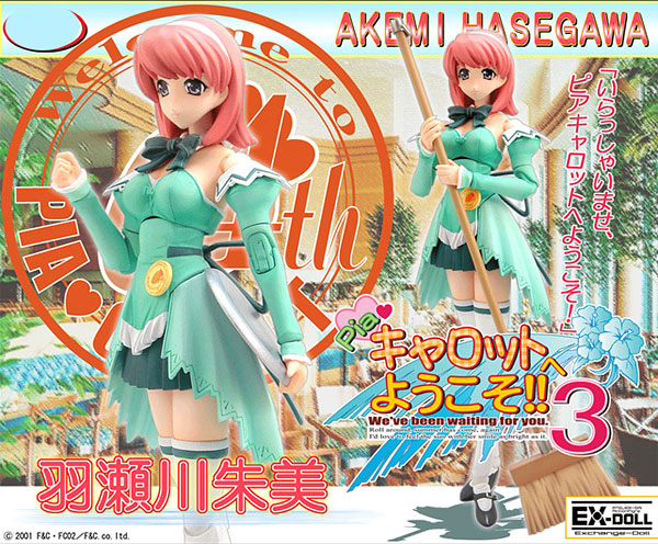 Welcome to Pia Carrot!! 3 Akemi Hasegawa Floral Mint Type