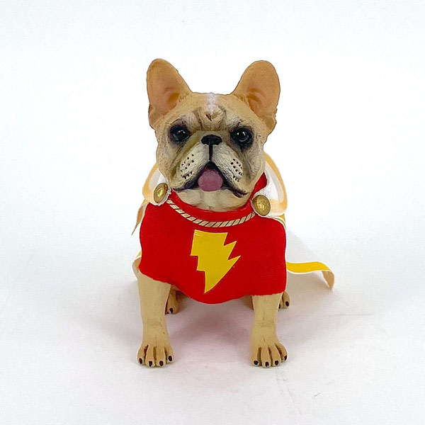 AmiAmi [Character & Hobby Shop] | 