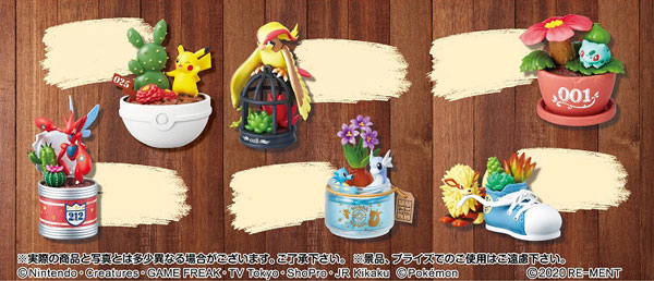 AmiAmi [Character & Hobby Shop] | Pokemon - Pokemon Pocket