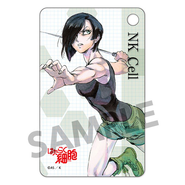 AmiAmi [Character & Hobby Shop]  TV Anime Cells at Work! CODE