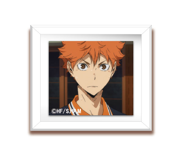 Shôyô Hinata Haikyuu Anime Character Paint By Numbers 