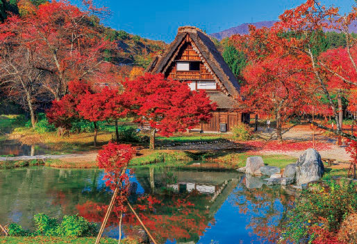 ｾﾝﾄﾗﾙ25-193S秋色に染まる白川郷