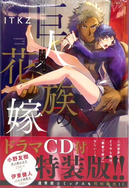 希少500部限定❗️【Nymph Daughters】Todd Hido/アート ToHeart2 XRATED 小牧愛佳・Summer Vacationスペシャルver