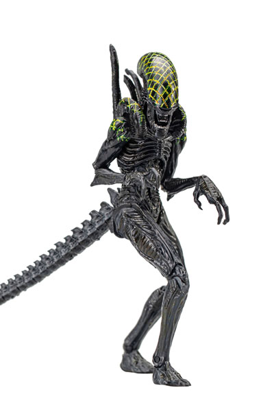 AmiAmi [Character & Hobby Shop] | AVP 1/18 Action Figure Grid