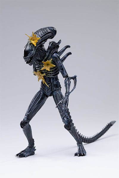 Alien Warrior フィギュア 1/9スケール Amazon.co.jp: Hiya Toys - Aliens Brown Alien Warrior PX 1/18