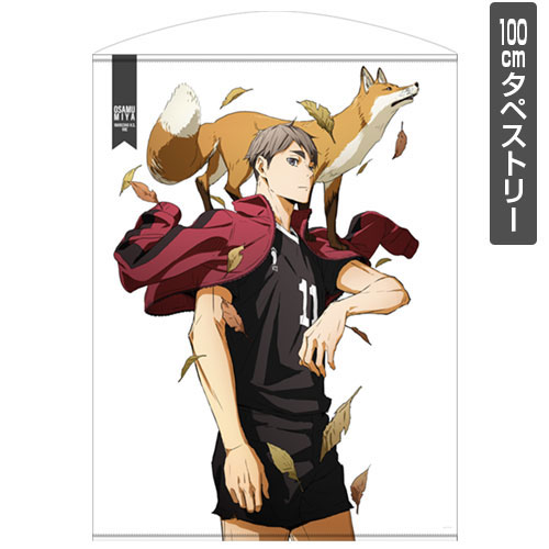 AmiAmi [Character & Hobby Shop]  PAPER THEATER Anime Haikyuu